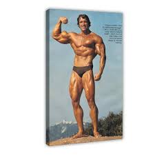 Arnold Schwarzenegger: Ikona sportu i kina