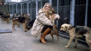 Brigitte Bardot: Życie i Kariera Legendy Kinematografii
