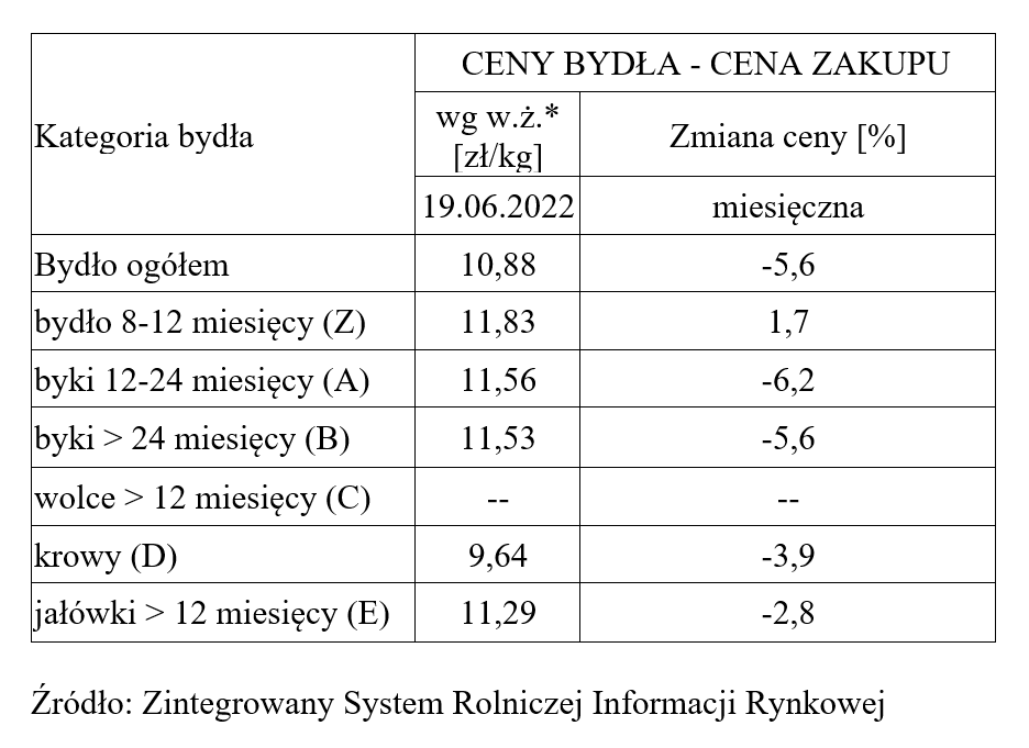 Analiza aktualnych cen bydła w Polsce w 2023 roku