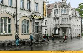 Z życia Bogatyni: historia i współczesność miasta