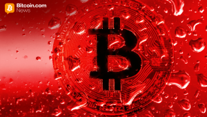 BTC: Cała prawda o Bitcoinie w 2023 roku