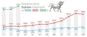 Aktualne ceny bydła mięsnego w Polsce 2023: co warto wiedzieć?