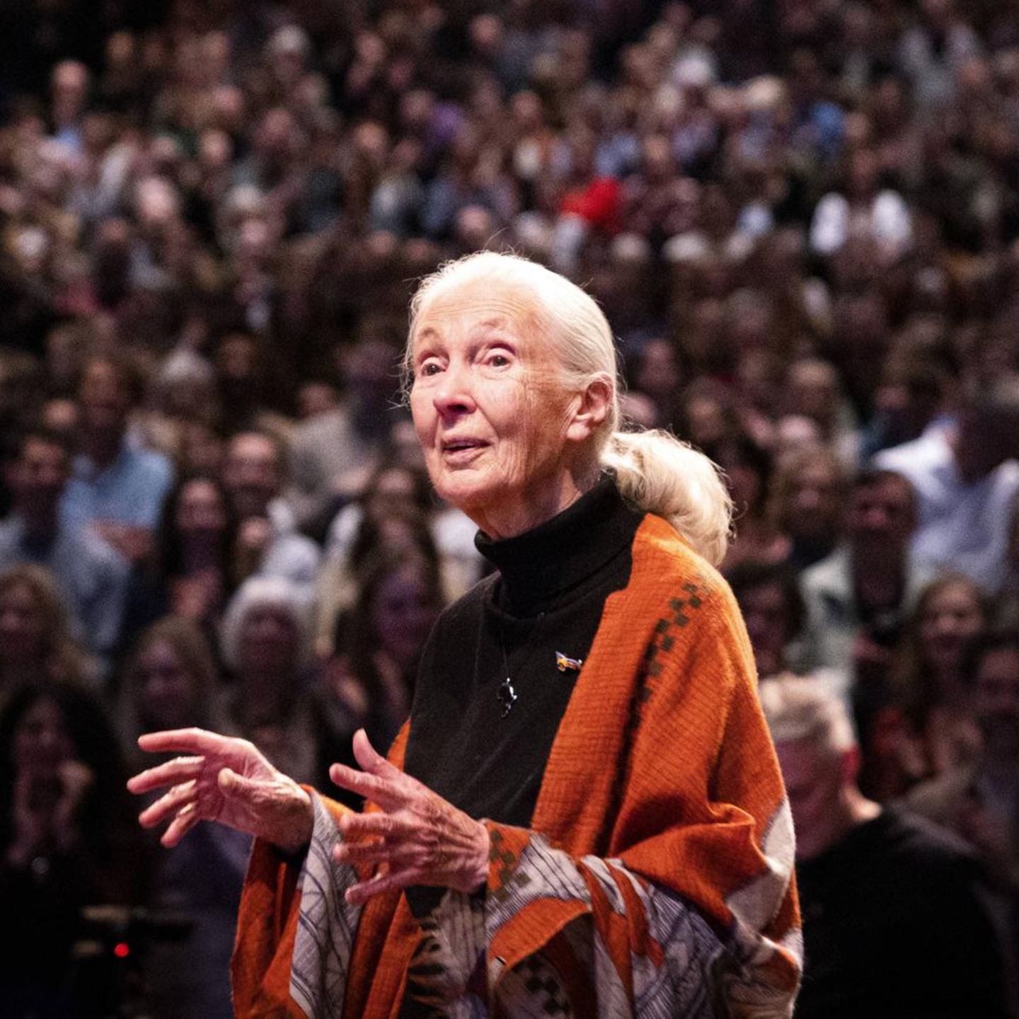 Jane Goodall: Życie i Prace Ikony Ochrony Przyrody