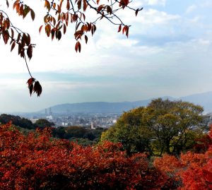 Japonia - Kraj kultury, technologii i tradycji