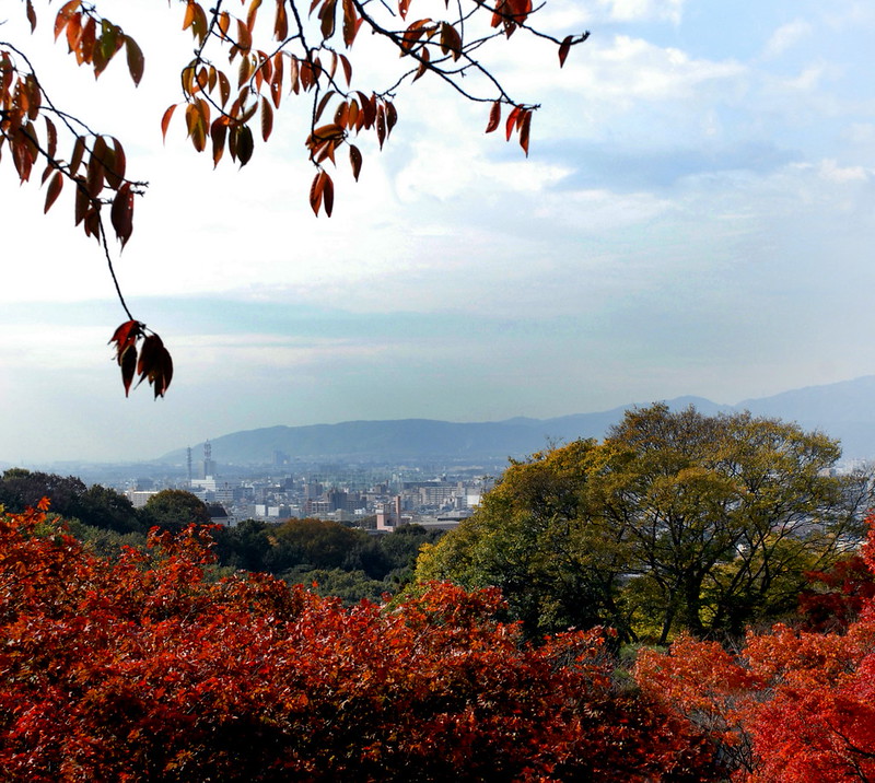 Japonia – Kraj kultury, technologii i tradycji