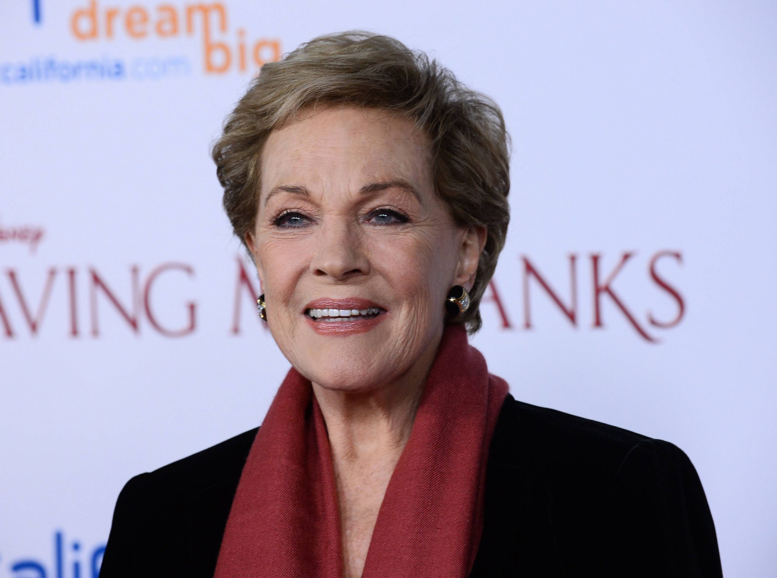 Julie Andrews: Życie i Dziedzictwo Ikony Sztuki