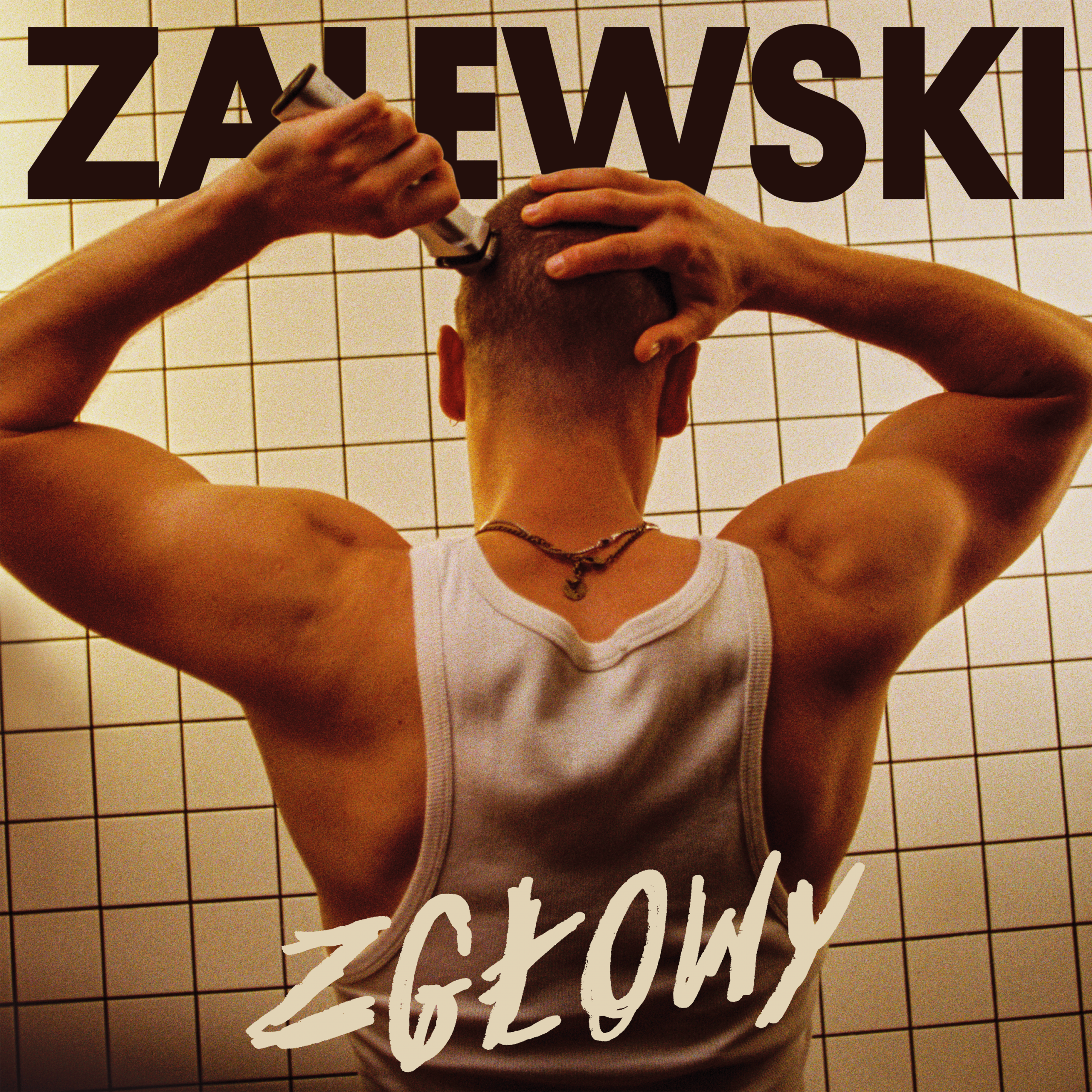 Krzysztof Zalewski: Muzyk, który zdobywa serca Polaków
