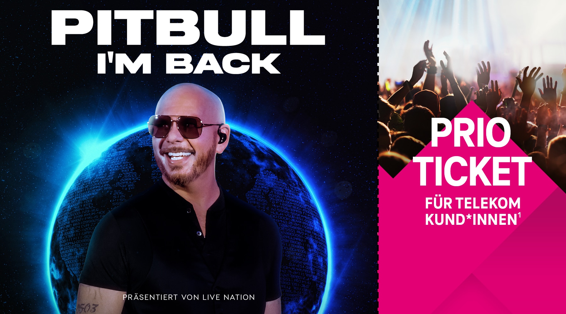 Pitbull koncert – wszystko, co musisz wiedzieć!