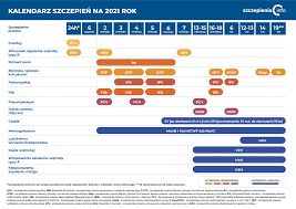 Szczepienia w Polsce: aktualne informacje i znaczenie