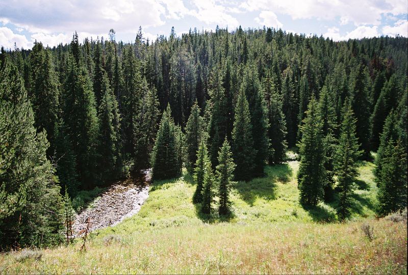 Yellowstone: Kluczowy Park Narodowy i Jego Ochrona