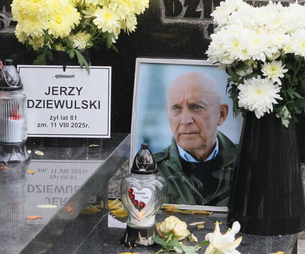 Pan Dziewulski i jego wpływ na polską kulturę