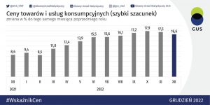 Analiza Inflacji według GUS w 2023 roku