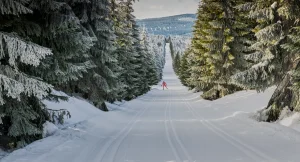 Jakuszyce - Strefa narciarska i atrakcje turystyczne