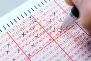 Wyniki Lotto z dnia 29 listopada 2023 roku
