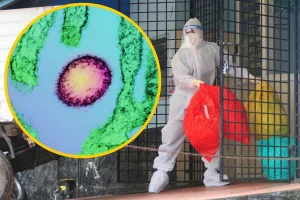 Nowy wirus Nipah – co oznacza dla zdrowia publicznego?