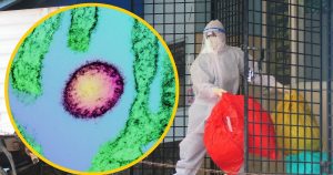 Nowy wirus Nipah: co wiemy i jak się chronić
