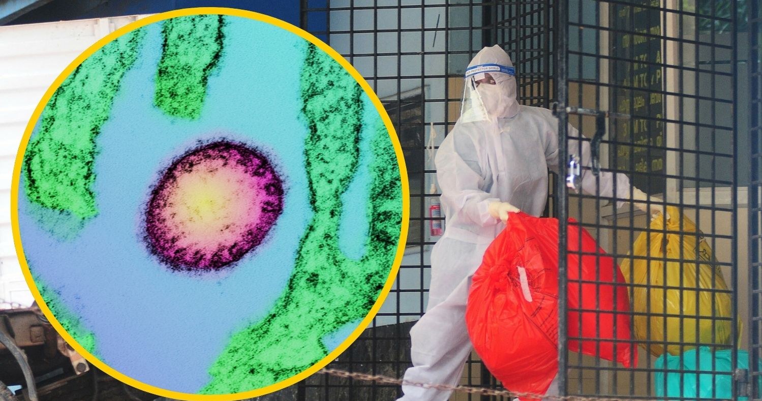 Nowy wirus Nipah: co wiemy i jak się chronić