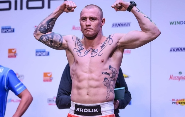 michał matrix królik: fenomen memów w Polsce