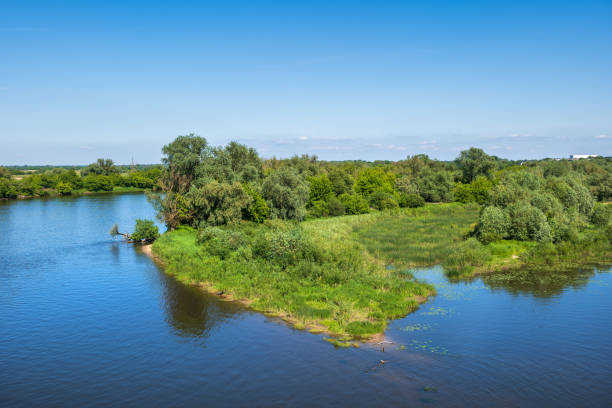 Narew – rzeka anastomozująca i jej znaczenie