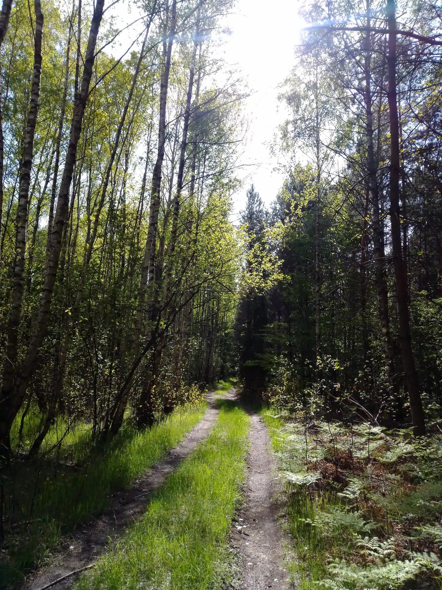 Podlasie – 7 powodów, by odwiedzić region na wschodzie Polski