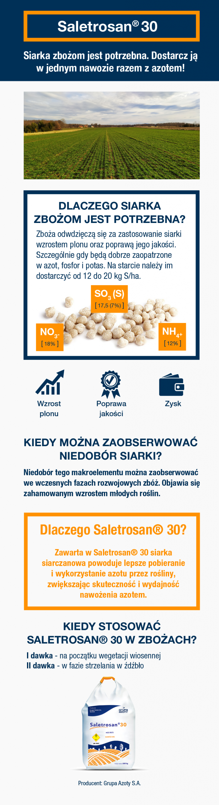 Zboża w Polsce: znaczenie, wyzwania i perspektywy