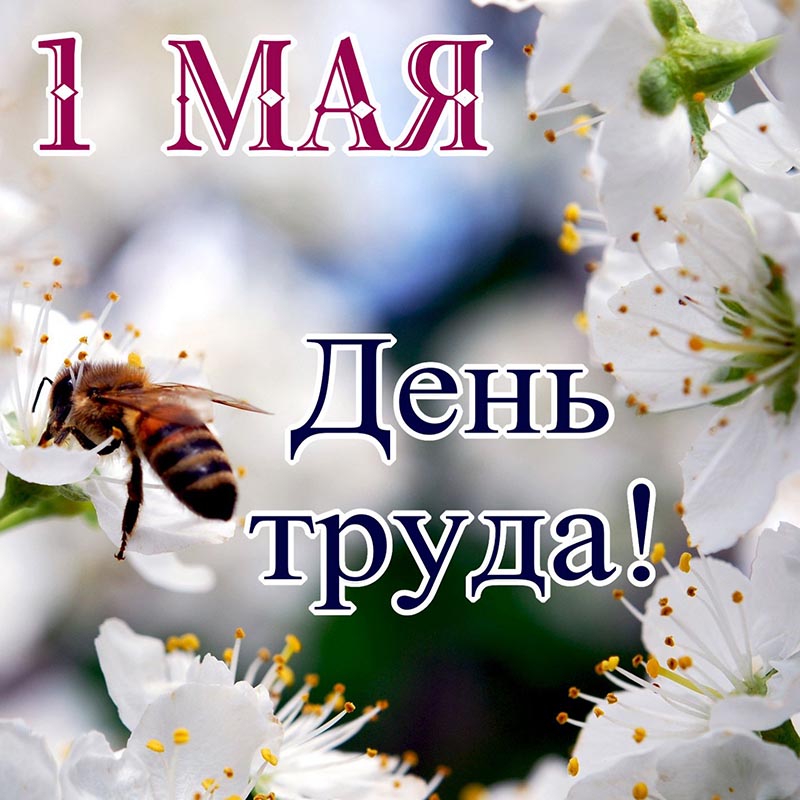 Brak danych źródłowych