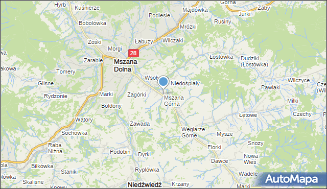 Tragedia w Mszanie Górnej. 19-latka zginęła przed domem