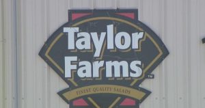 Taylor Farms badane jako możliwe źródło ogniska cyklosporozy - taylor farms