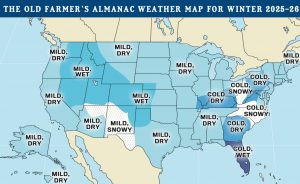 Old Farmer’s Almanac publikuje prognozę zimy 2026–2027 - old farmers almanac winter forecast